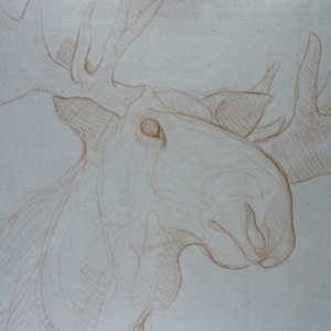 moose-drawing-tn